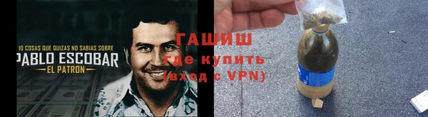 шишки Анива