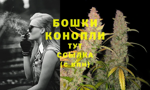 амф Надым