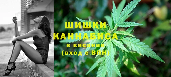 амф Надым