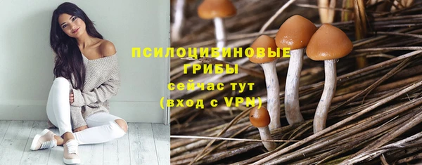 спиды Навашино